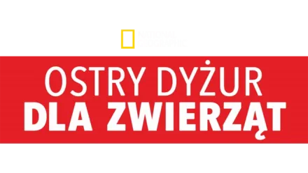 Ostry dyżur dla zwierząt