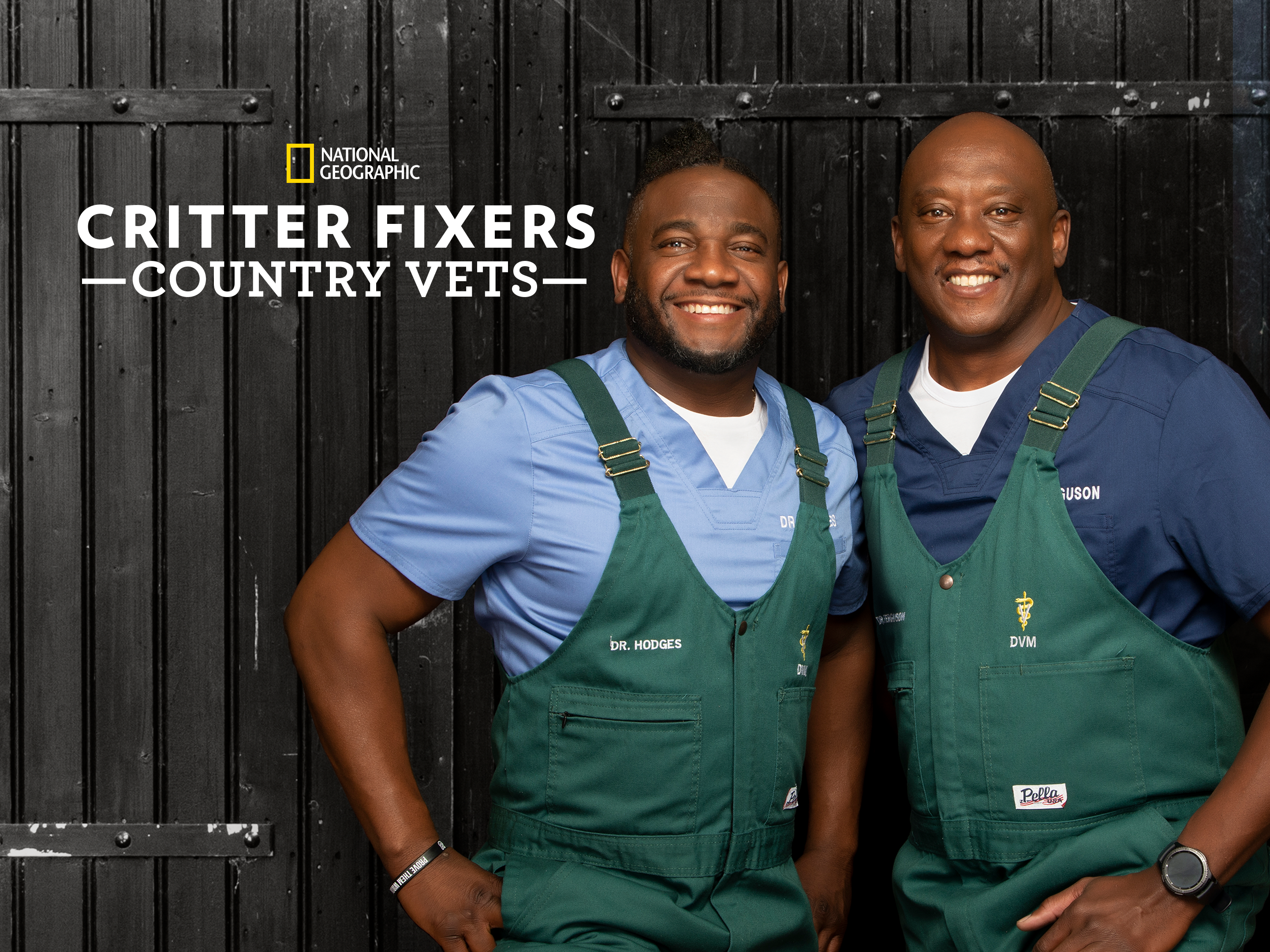 critter veterinary care