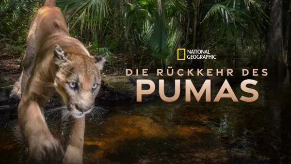 thumbnail - Die Rückkehr des Pumas