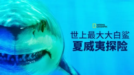 thumbnail - 世上最大大白鲨：夏威夷探险