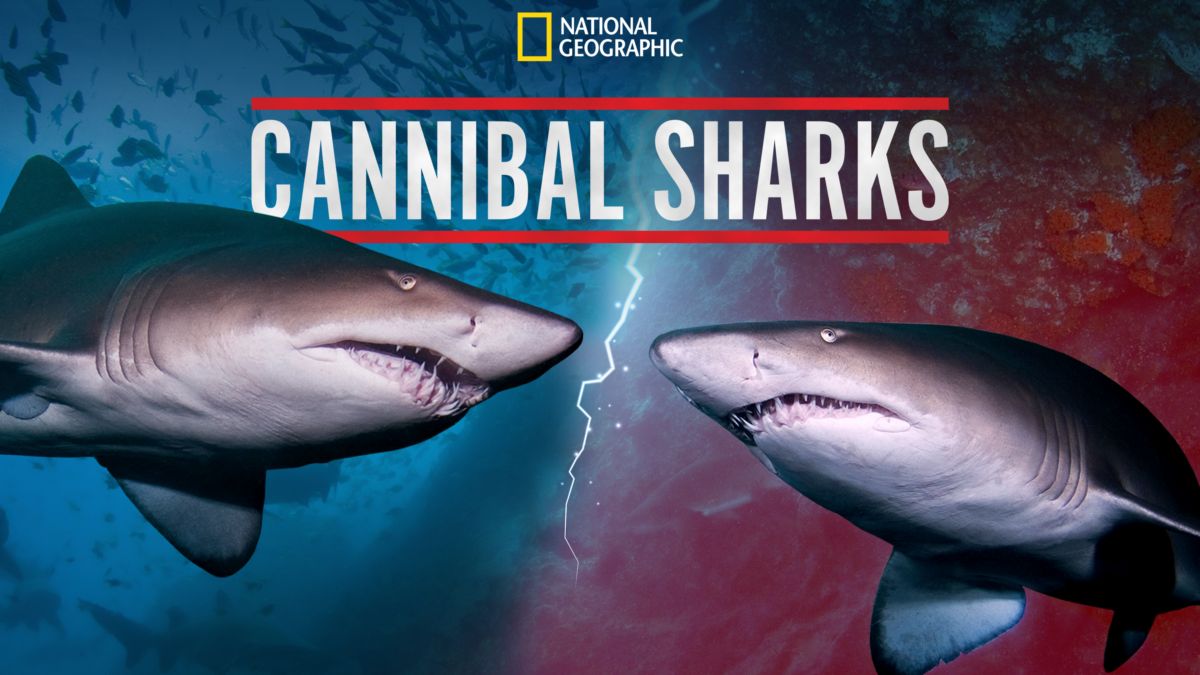 Watch Cannibal Sharks Full movie Disney+