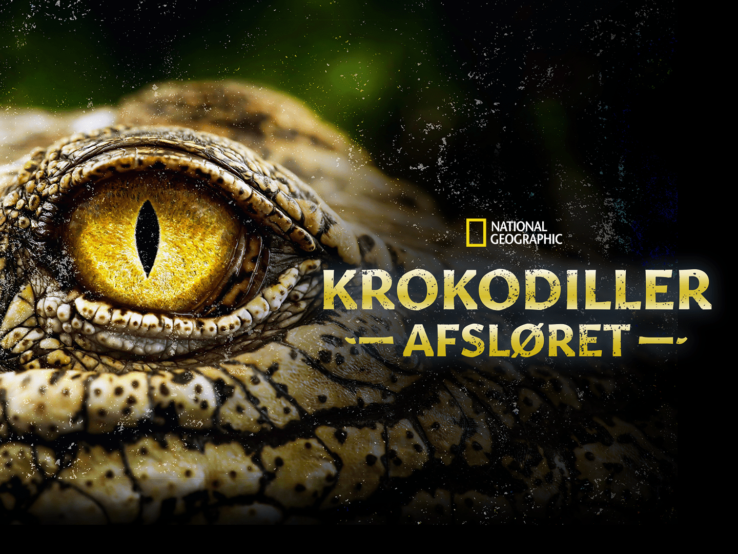 Se Krokodiller Afsløret | Disney+