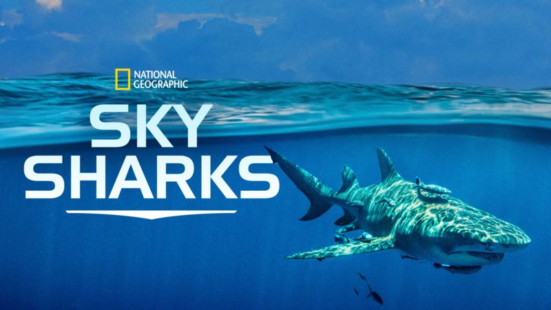 Game of Sharks - Disney+