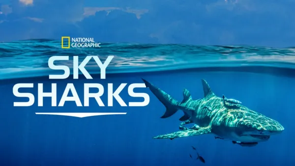 thumbnail - Sky Sharks