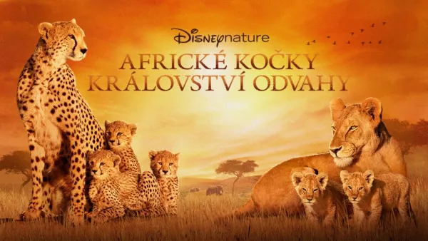 thumbnail - Africké kočky: Království odvahy