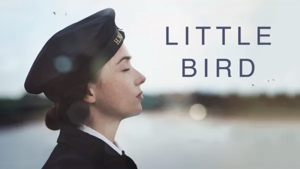 thumbnail - Little Bird