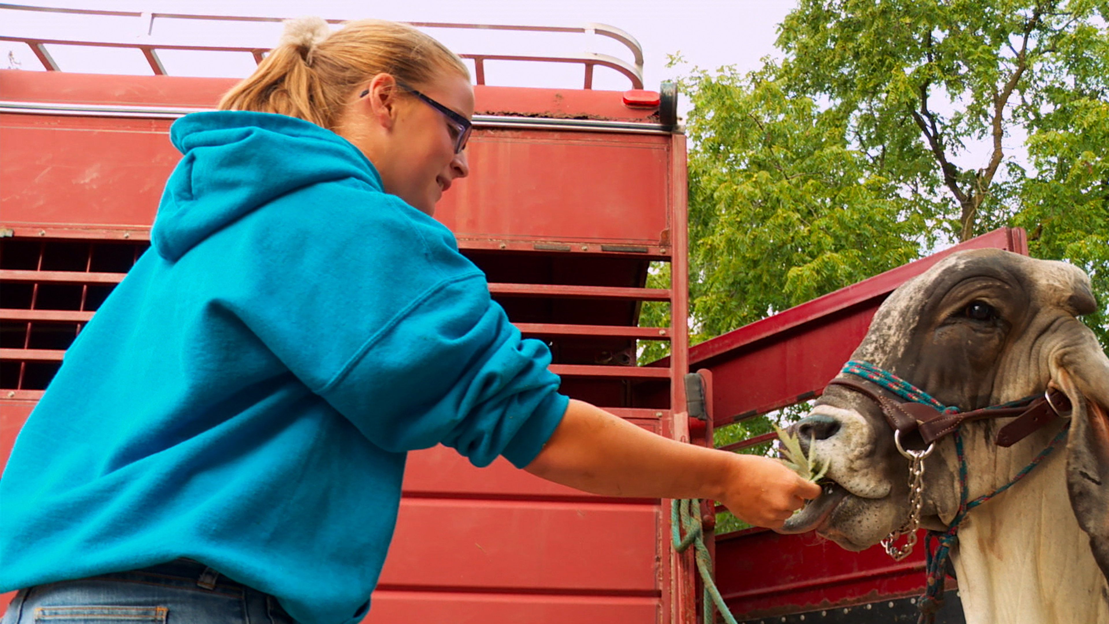 The Incredible Dr. Pol: Blue Ribbon Kids