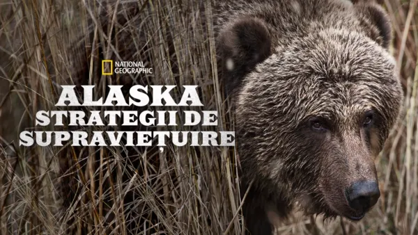 thumbnail - Alaska: Strategii de supraviețuire