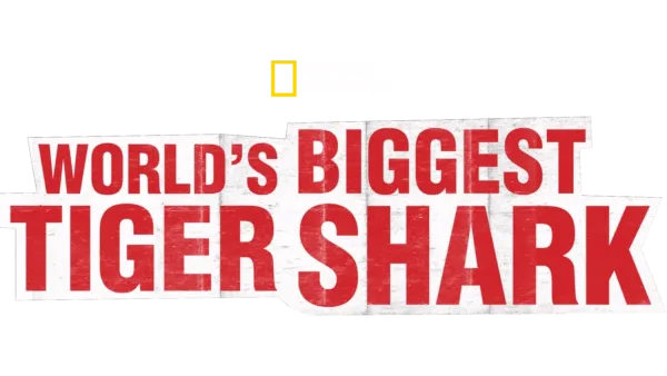 World’s Biggest Tiger Shark?
