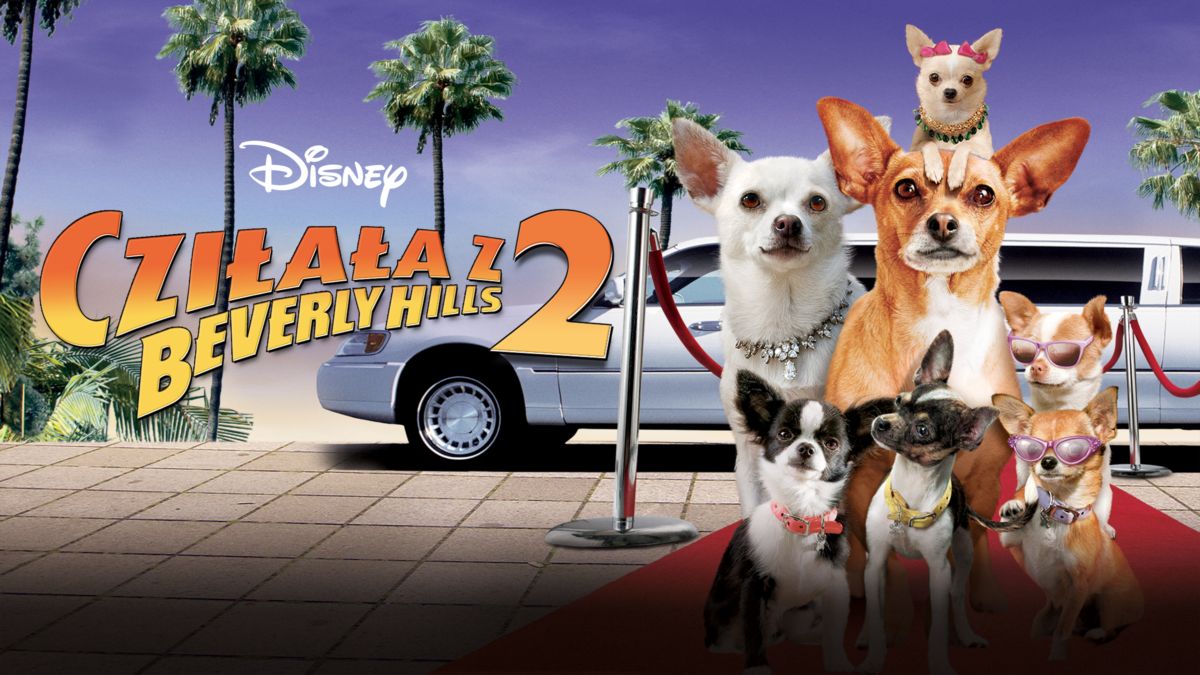 Film Cziłała Z Beverly Hills 1 Po Polsku Cda Cziłała z Beverly Hills 2 | Disney+