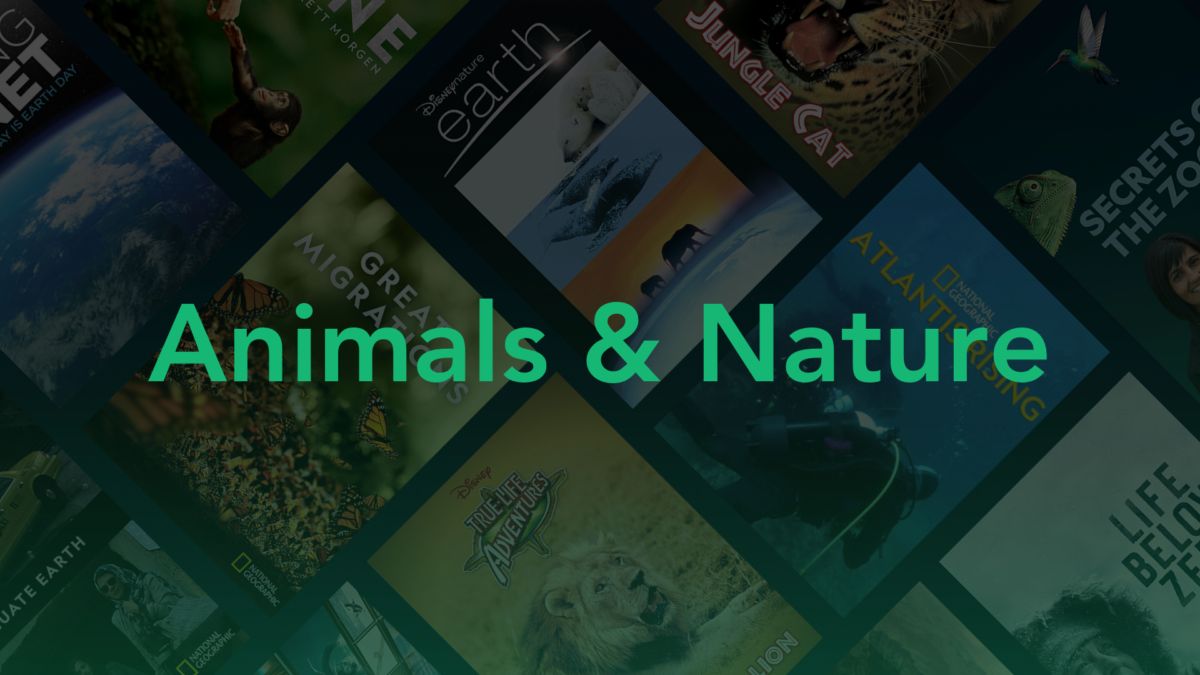 Watch Animals and Nature Disney+