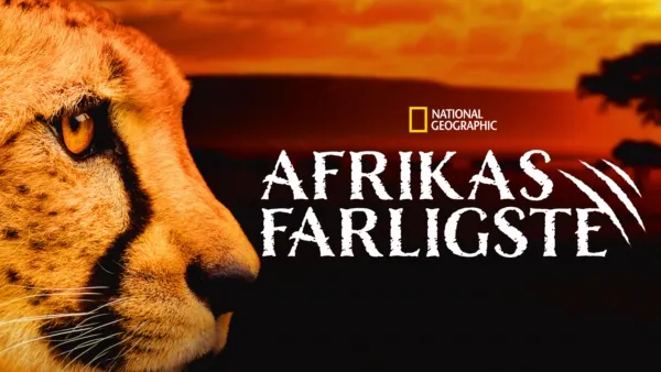 thumbnail - Afrikas farligste