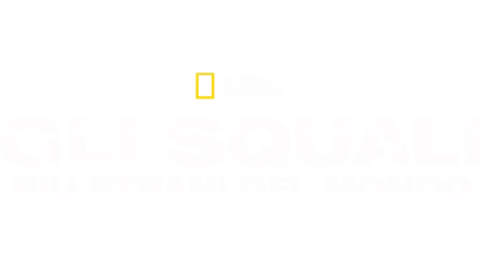 Gli squali più strani del mondo