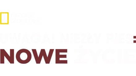 Uwaga! Niezły pies: nowe życie