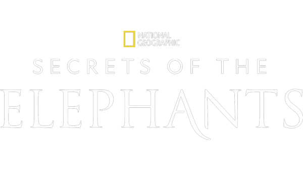 Secrets of the Elephants