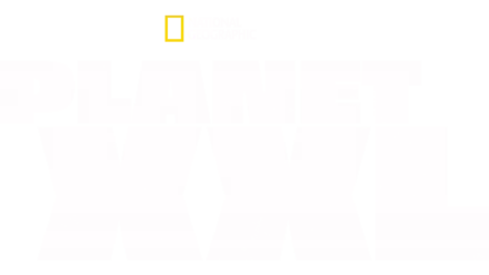 Planet XXL