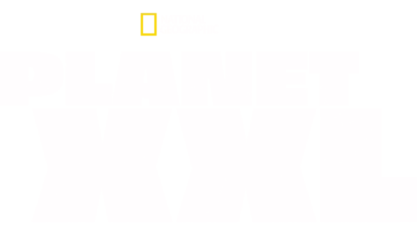 Planet XXL