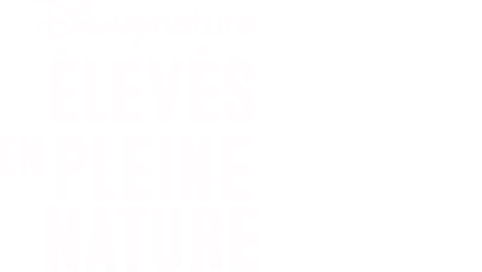 Élevés en pleine nature