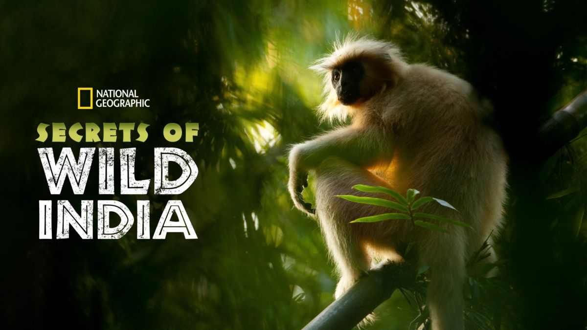 Watch Secrets of Wild India | Disney+