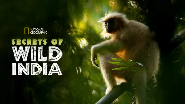 thumbnail - Secrets of Wild India