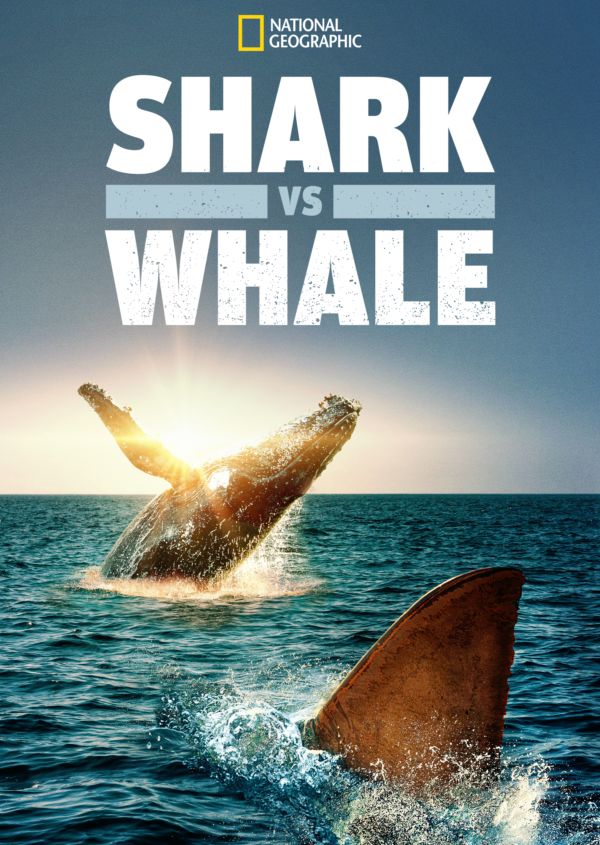 Shark vs. Whale on Disney+ CA