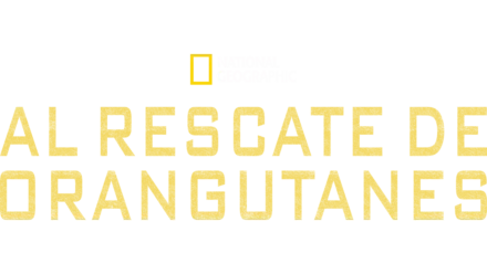 Al rescate de orangutanes