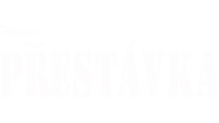 Přestávka