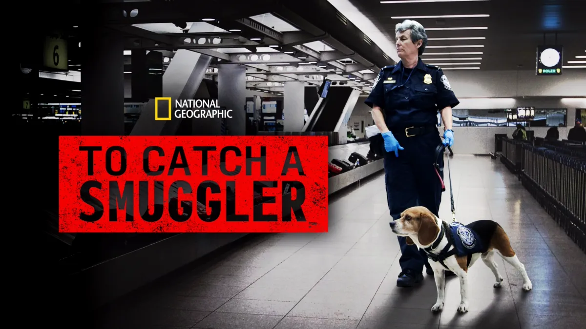 Watch to catch a smuggler disney 