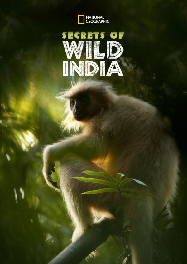 Secrets of Wild India on Disney+ ES