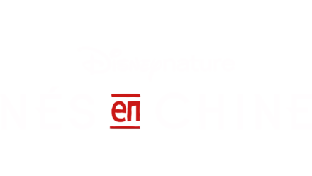 Nés en Chine