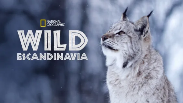 thumbnail - Wild Escandinavia