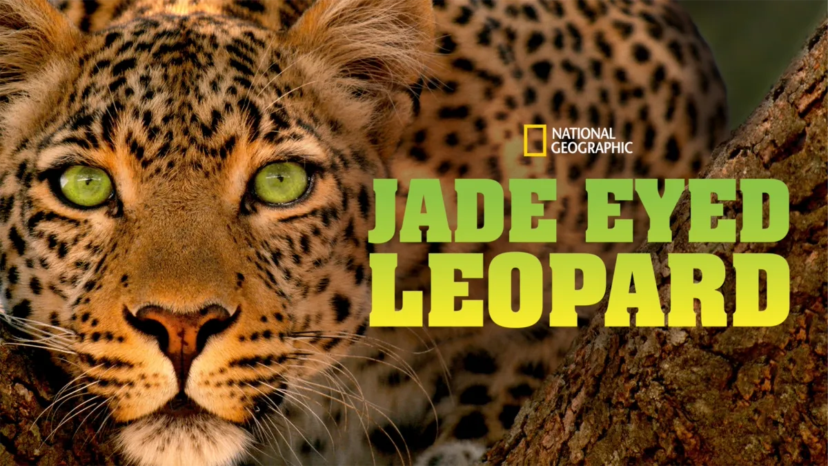 Watch Jade Eyed Leopard