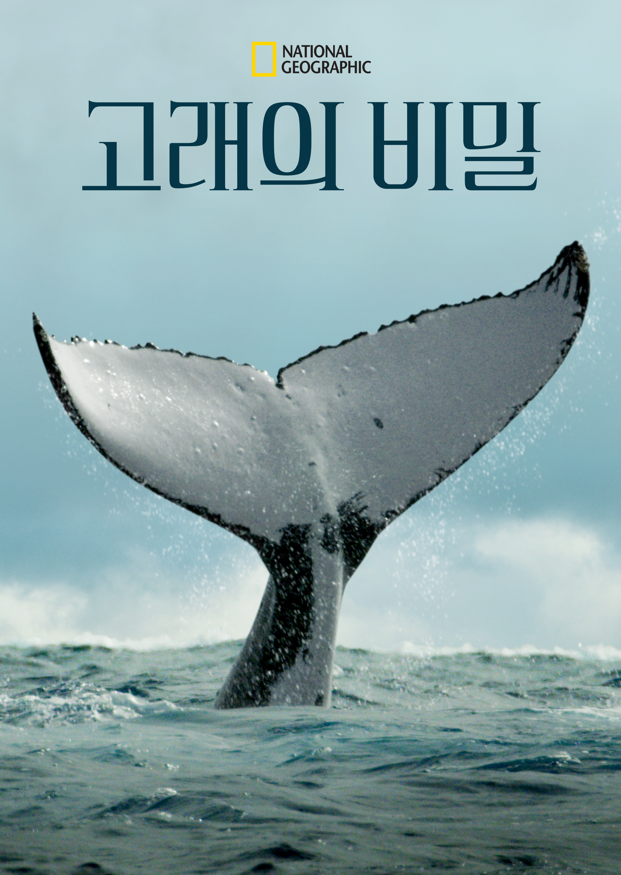고래의 비밀 시즌1