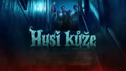 thumbnail - Husí kůže