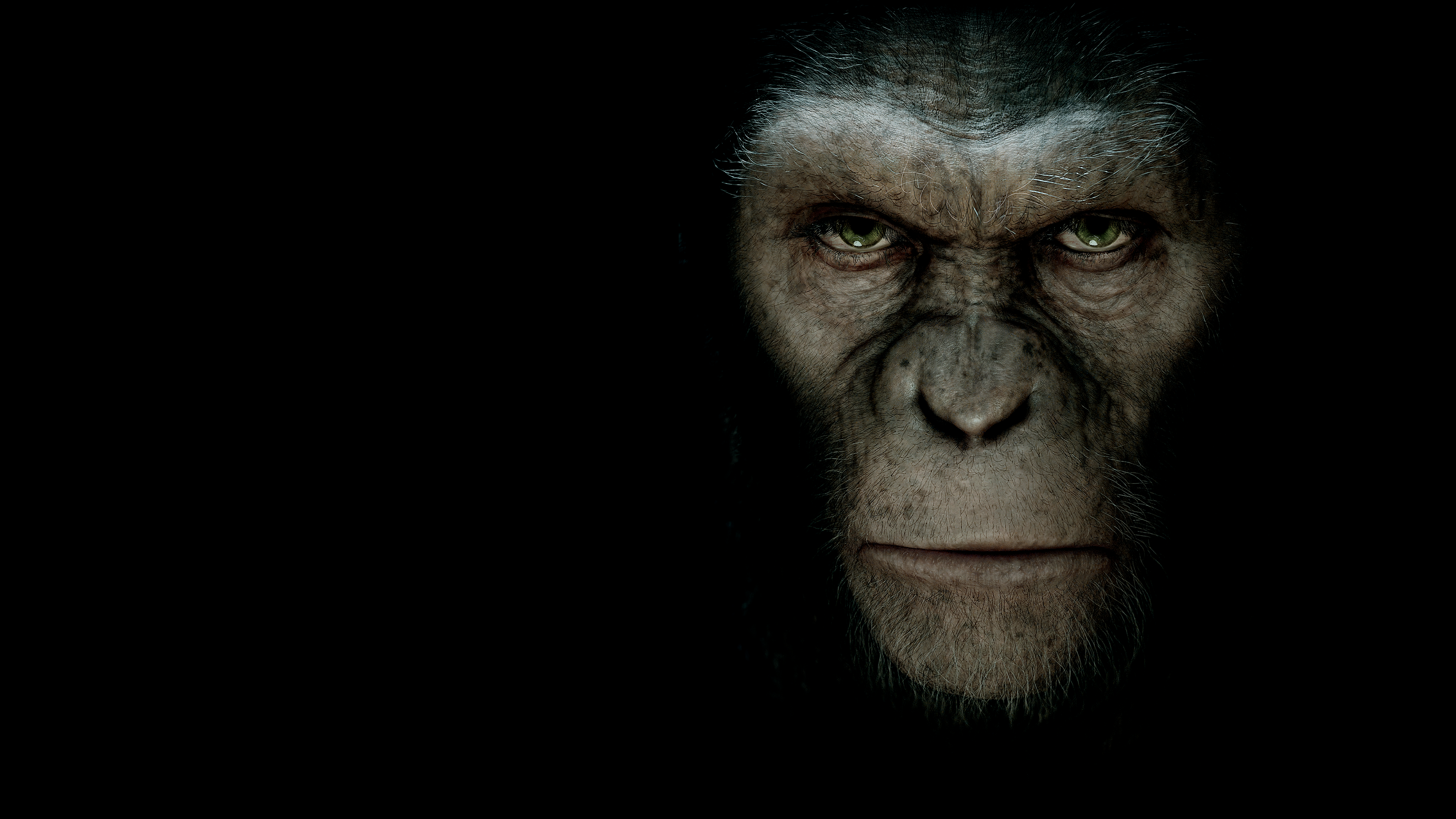 Planeta Dos Macacos: A Origem
