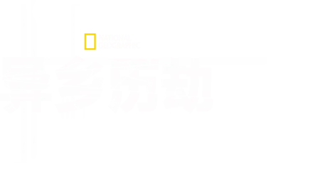 异乡历劫