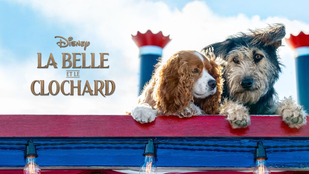 La Belle Et Le Clochard 2019 Regardez La Belle et le Clochard | Film complet | Disney+