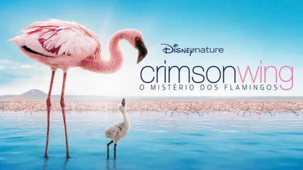 thumbnail - Disneynature Crimson Wing: O Mistério dos Flamingos