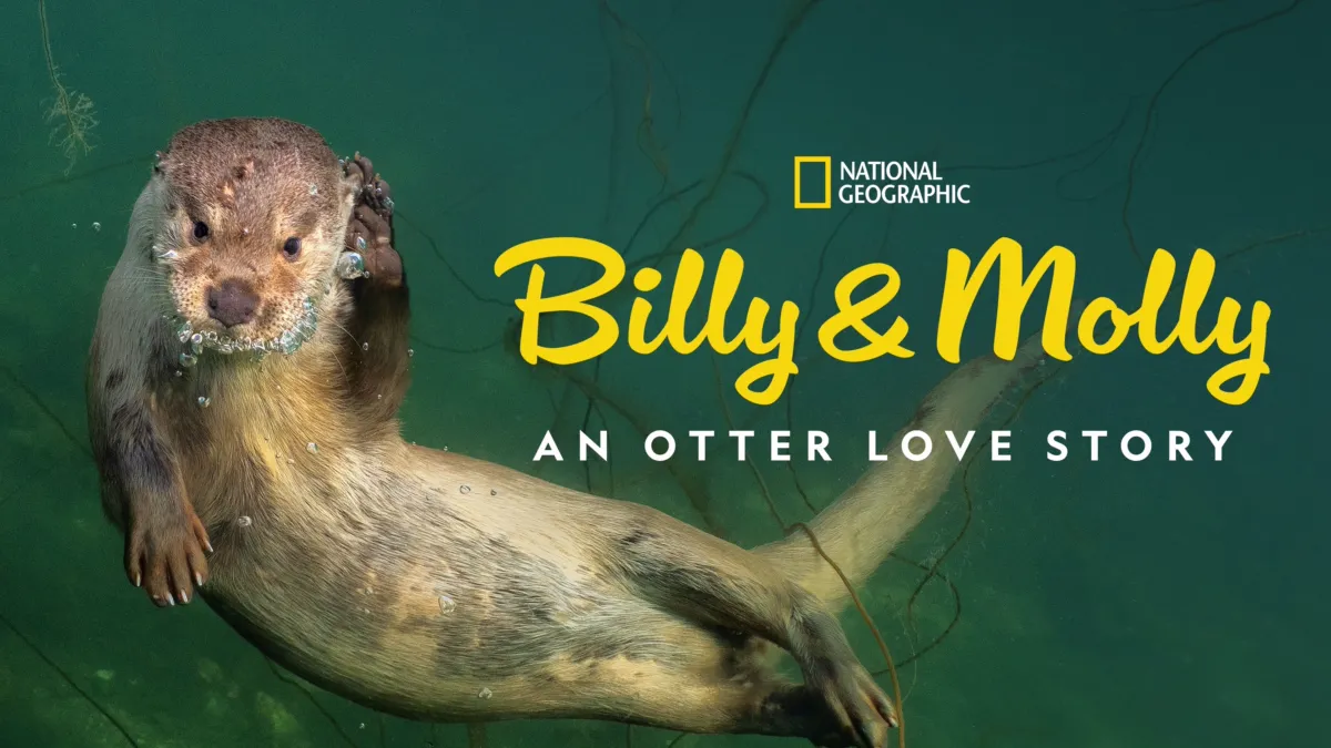 Watch Billy & Molly An Otter Love Story Disney+