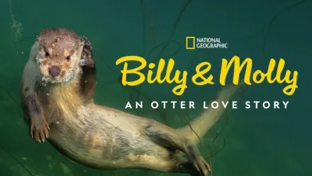 thumbnail - Billy & Molly: An Otter Love Story