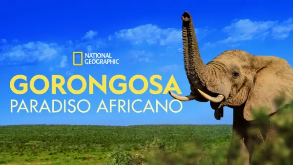 thumbnail - Gorongosa: paradiso africano