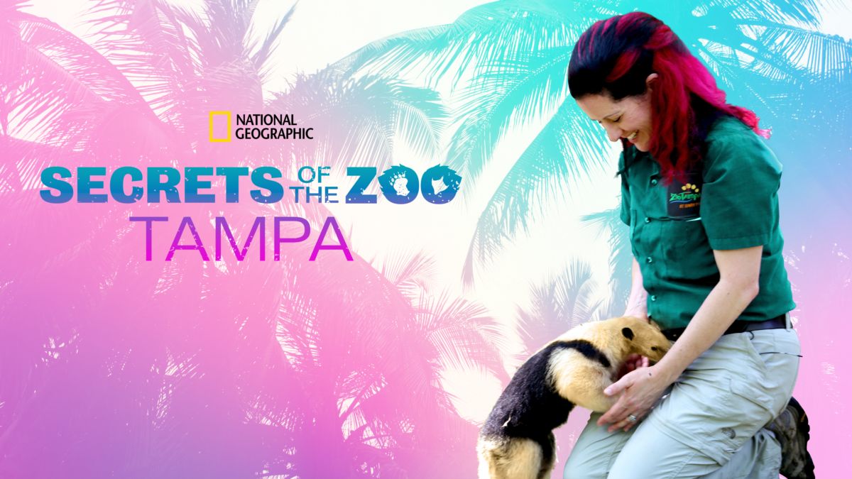 Watch Secrets of the Zoo Tampa Full episodes Disney+