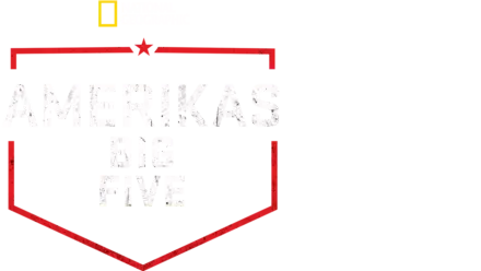 Amerikas Big Five