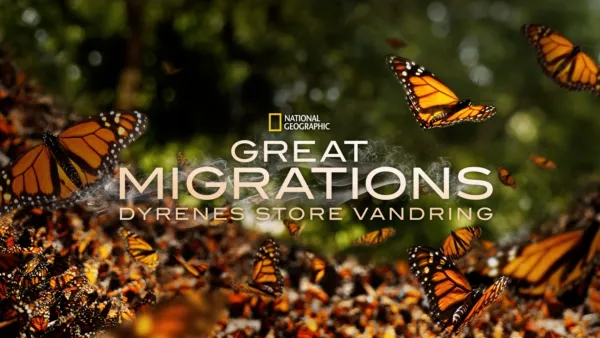 thumbnail - Great Migrations