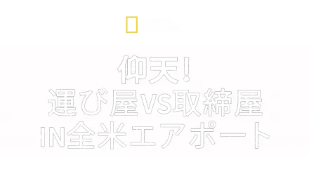 仰天！運び屋vs取締屋in全米エアポート