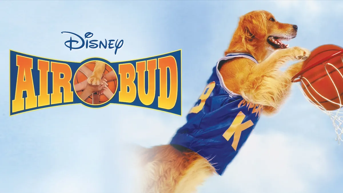 Air bud outlet