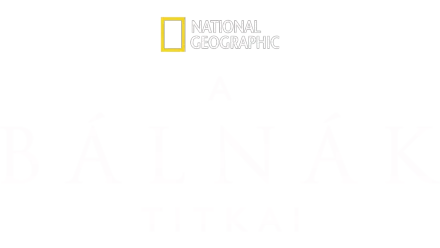 A bálnák titkai