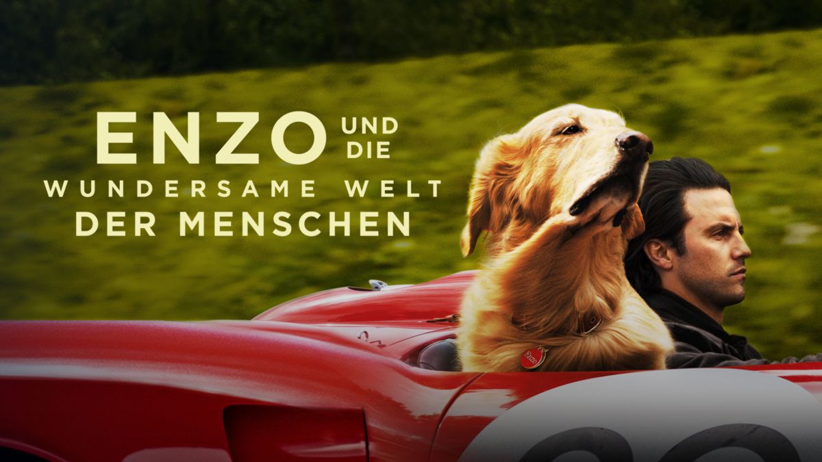 „Enzo Und Die Wundersame Welt Der Menschen