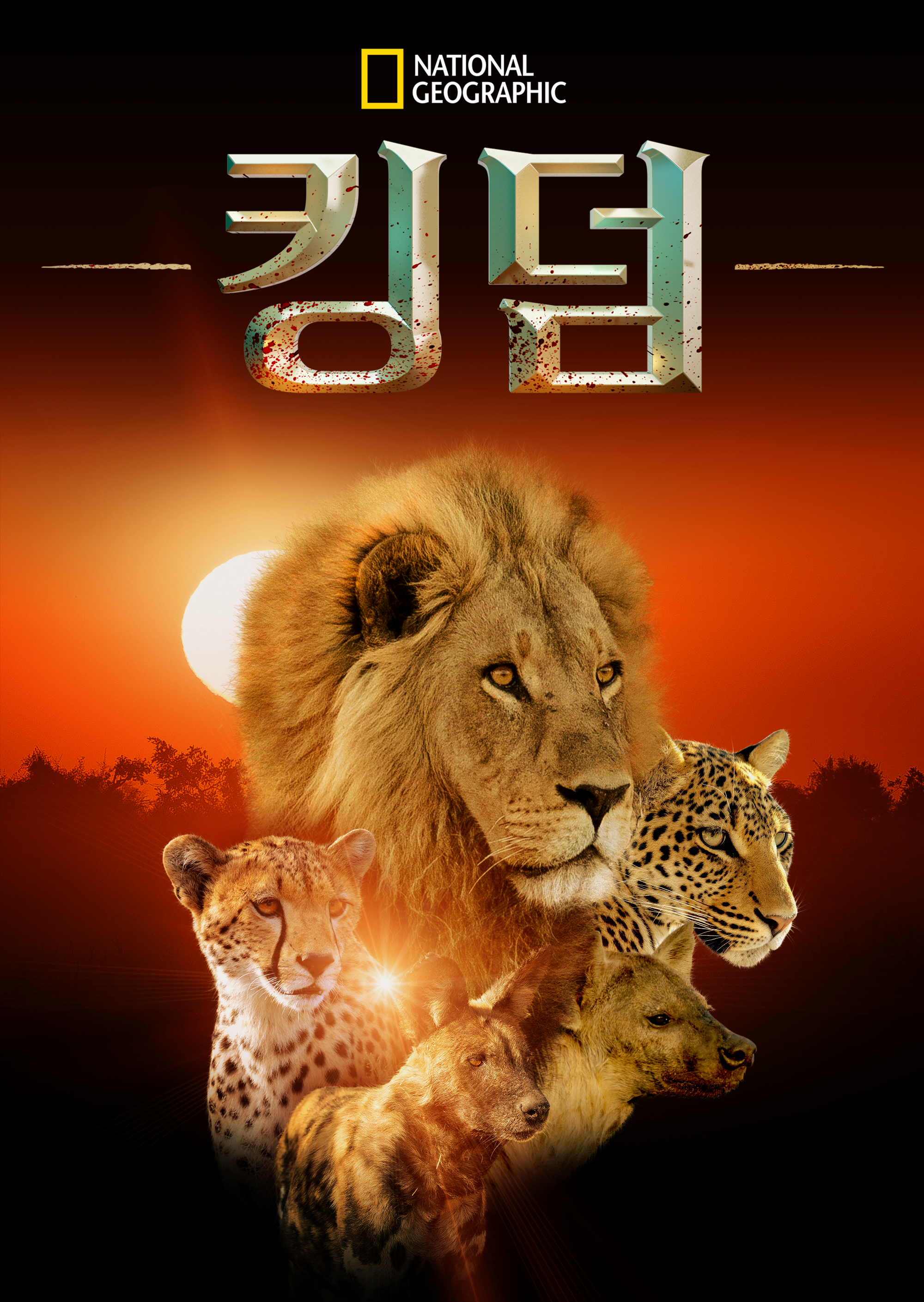 킹덤