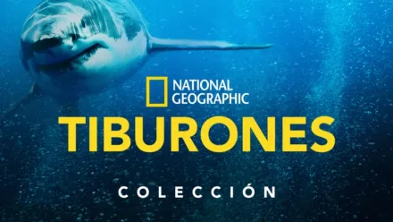 thumbnail - National Geographic: Tiburones
